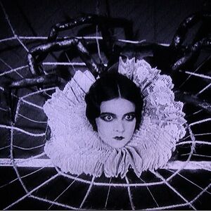 Meet your Posher, Alexandria